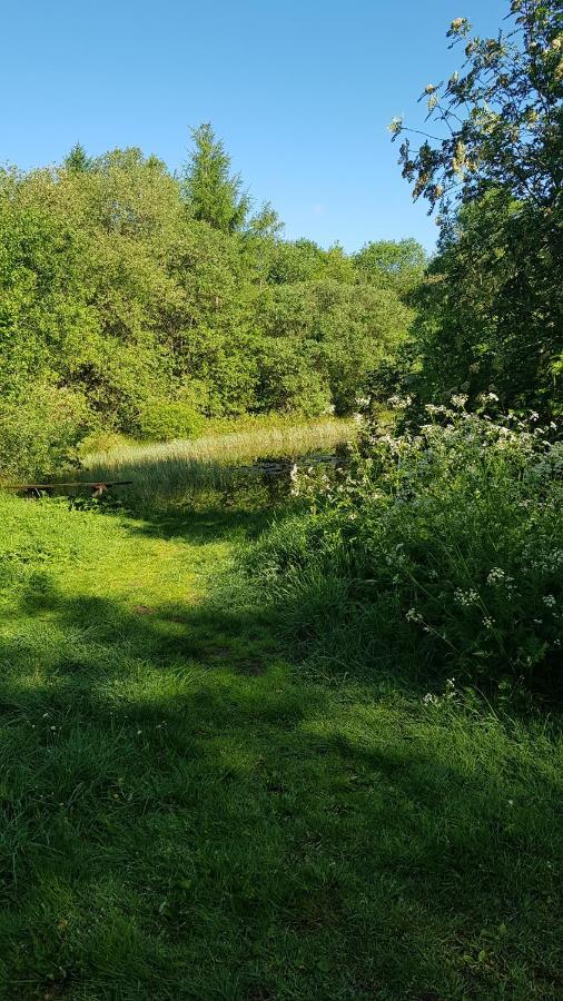 Basic Ingerichte Vouwwagen Op Camping Westenenk, Wijster Екстер'єр фото